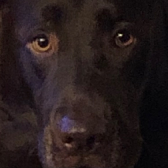 Meet your Posher, Kelly - Picture 1 of 1